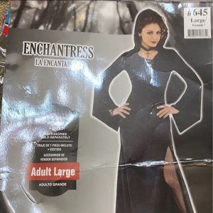 Halloween Enchantress (W) costume Gown only (L)